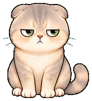 mochi, an exotic shorthair cat