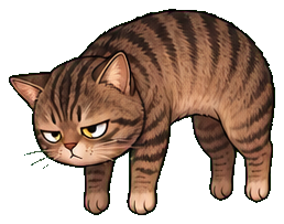 nubbin, a cat being picked up