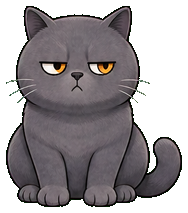 winston, a british shorthair cat